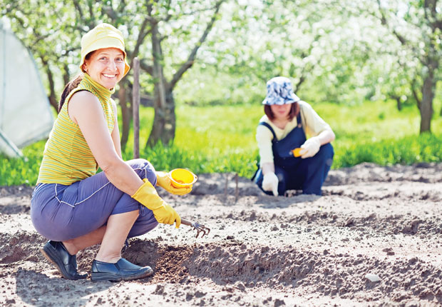 Ко су биљке пријатељи?